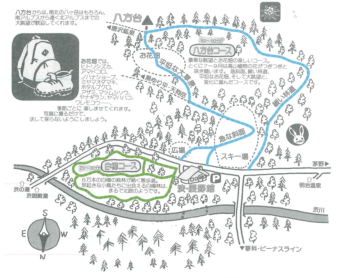 車でお越しの方